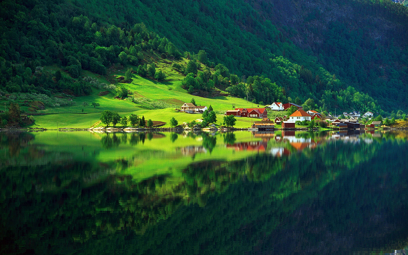 Top 6 reasons to spend summer holidays in the Carpathians