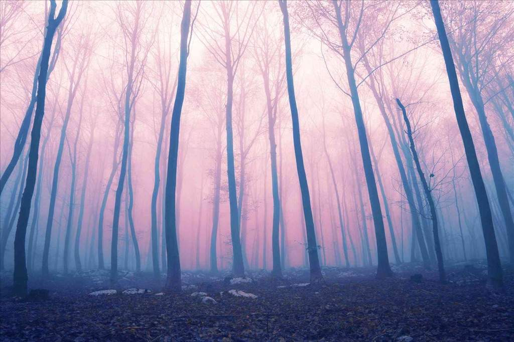 The most mysterious places in Ukraine